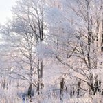 Profile Picture of Kelsey Bernal (@kelsey.bernal.31) on Instagram