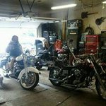 Profile Picture of Long Haired Johnny Harbison (@longharbison) on Instagram