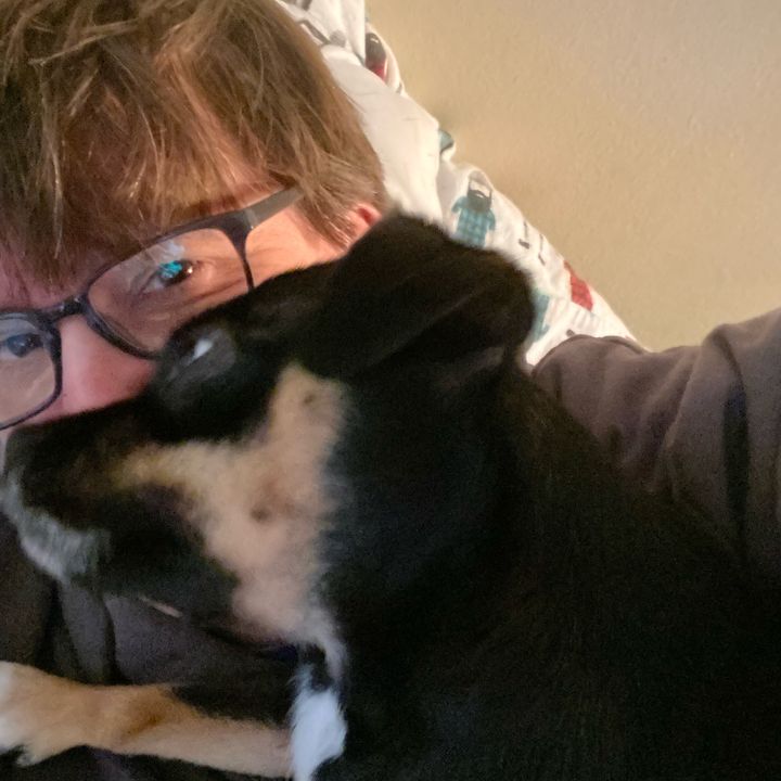 Profile Picture of RockDylan (@rockdylan) on Tiktok