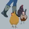 Profile Photo of Hollydale Hen House (@@hollydalehenhouse) on Tiktok