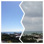 Profile Picture of Susan Wicker (@gurulogtalent) on Instagram