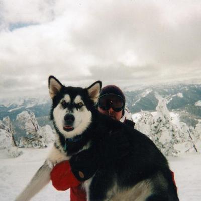 Profile Picture of Brian Esposito (@espositoWbrian) on Twitter