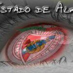 Profile Picture of Paulo Rebelo Santos (@paulrebelo) on Instagram