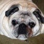 Profile Picture of Joseph Redden (@mentel_mon) on Instagram