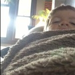 Jacob Brackman - Instagram Profile Picture of Jacob Brackman (@mini_vanlilaice) on Instagram