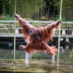 Profile Picture of Richard Mulder (@Richard-Mulder) on Facebook