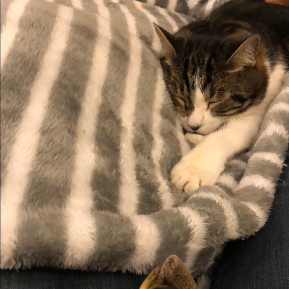 Profile Picture of Matthew Kanady (@matthewkanady) on Poshmark