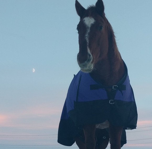 Abby Maslanko - Poshmark Profile Picture of Abby Maslanko (@abbymaslanko) on Poshmark