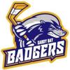 Profile Picture of sandy bay badgers (@littlemiss.sb.badgers) on Tiktok