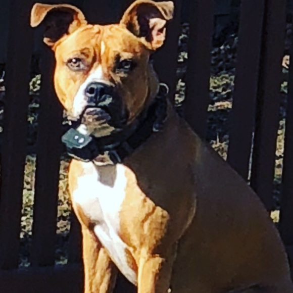 Profile Picture of Meghan Chrzan (@meghanchrzsn) on Poshmark