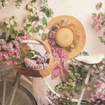 Profile Picture of Marie-Claude Audet (@marieclaudeaudet50) on Instagram