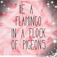 Profile Picture of Clair Link (@clair-link) on Quora