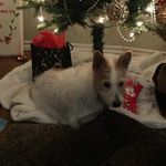 Profile Picture of Jason farnell (@jason.farnell3) on Instagram