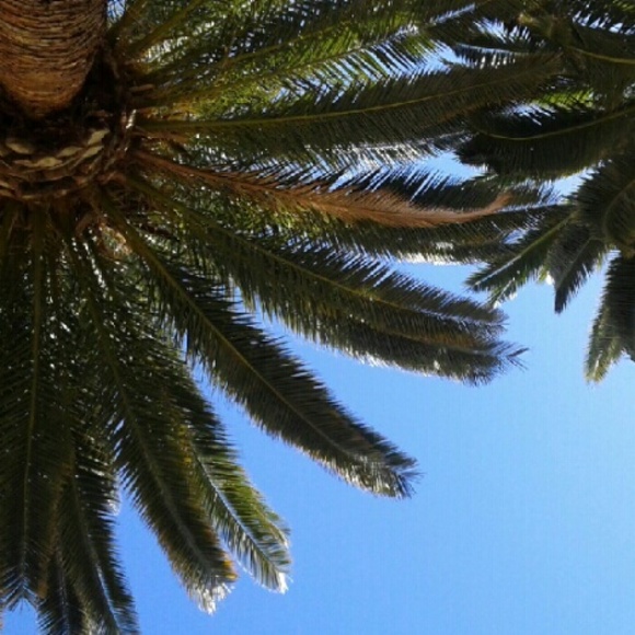 Profile Picture of Ashly Lopez (@ashly134) on Poshmark