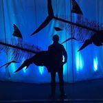 Profile Picture of Joseph Carowick (@jcarowick88) on Instagram