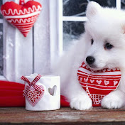 Profile Picture of Genaro Cabrera (@genarocabrera1077) on Youtube