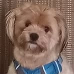 Profile Picture of Cassandra Tallman Kleinschmidt (@cassandra.kleinschmidt) on Facebook