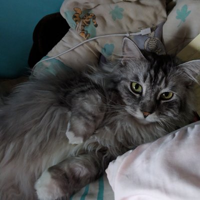 Profile Picture of Shelley Ludwig (@Shelleyludwig2) on Twitter