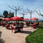 Profile Picture of Yolanda Josep Les Voltes de Talamanca (@lesvoltesdetalamanca) on Instagram
