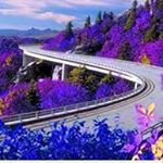 Profile Picture of Quoc Ly (@quoc7271) on Instagram