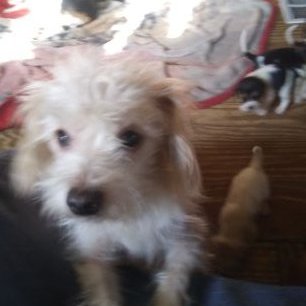 Randy Keesler - Twitter Profile Picture of Randy Keesler (@RandyKeesler3) on Twitter