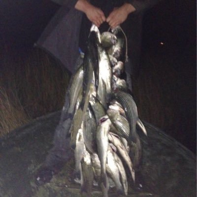 Profile Picture of Christopher Outlaw (@Waltuo_Seafood) on Twitter