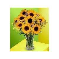 Profile Picture of Joyce Hogan (@joyce-hogan-13) on Quora