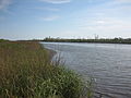 Profile Picture of Duncan Canal (Louisiana)on Wikipedia