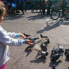 Profile Picture of Hugo Benavente B. (@logan2823x) on Twitter