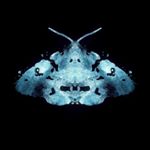 Profile Picture of Adam Hulley (@hulleyadam) on Instagram