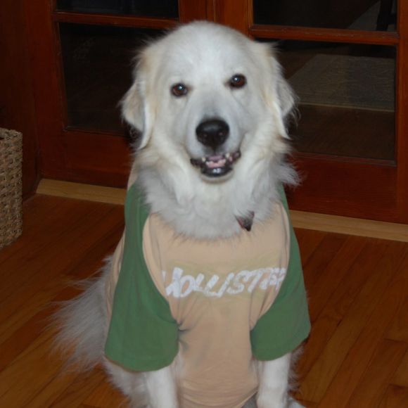 Profile Picture of Joss Reeder (@mreeder46) on Poshmark