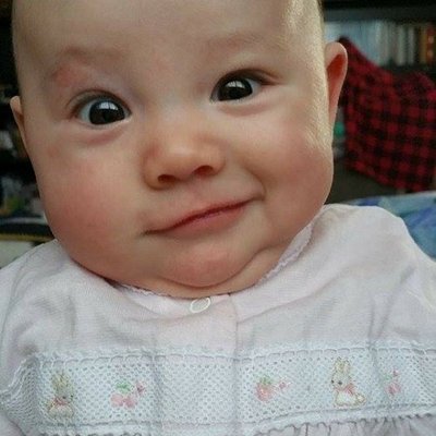 Profile Picture of Terry Oster (@TerryOster) on Twitter