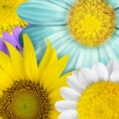 Profile Picture of Lorena Barron (@lorenabarron77) on Twitter