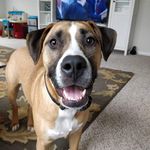 Profile Picture of Mike Moritz (@mudhens23) on Instagram