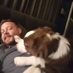 Profile Picture of Matthew Powell (@ammonzing) on Instagram