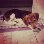 Profile Picture of Kaul Randall (@castout) on Instagram