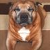 Profile Picture of Sandra Clift (@sandra.clift.77) on Facebook