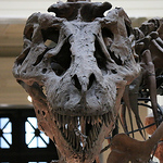 Profile Picture of Jameshedrick259 (@jameshedrick259) on Flickr