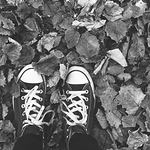 Profile Picture of Stephanie Watson (@stephanie_394) on Flickr