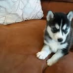 Profile Picture of Dávid Jericho (@Dávid-Jericho) on Facebook