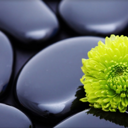 Profile Picture of Dina Alayan (@dinaalayan_) on Twitter