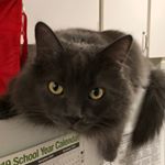 Dawn Morey - Instagram Profile Picture of Dawn Morey (@dawn_morey) on Instagram