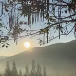 Profile Picture of Albina Bliss (@Albina-Bliss) on Facebook