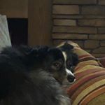 Profile Picture of Kyle Crumley (@kyle.crumley) on Instagram