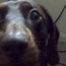 Profile Picture of Ian Hemminger (@ian.hemminger) on Facebook