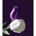 Profile Picture of Maria Dilan (@foretcnimm) on Pinterest