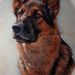 Profile Picture of Darryl Keels (@darryl5491) on Pinterest