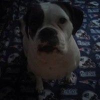 Jeremy Frasier - Quora Profile Picture of Jeremy Frasier (@jeremy-frasier) on Quora