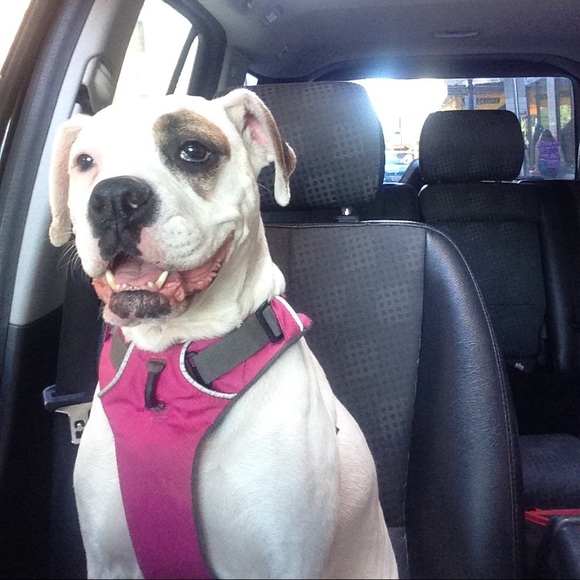 Profile Picture of Shannon Sneep (@shannonsneep) on Poshmark