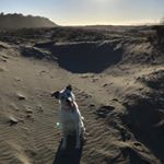 Profile Picture of Tyler Vanderpool (@tyler_vanderpool) on Instagram